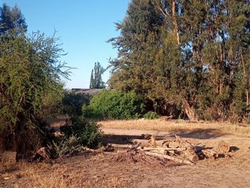 Imagen 28
