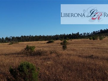 Venta / Parcela / Pumanque