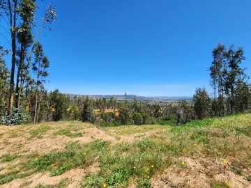 Venta / Parcela / Pumanque