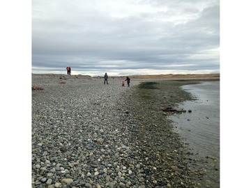 Venta / Parcela / Punta Arenas