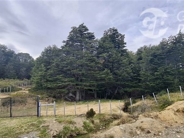 Venta / Parcela / Punta Arenas