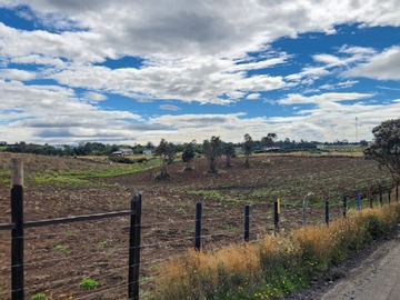 Venta / Parcela / Puqueldón