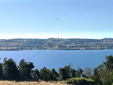 Venta / Parcela / Puqueldón