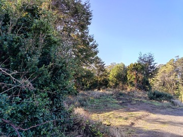 Venta / Parcela / Puqueldón