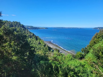Venta / Parcela / Puqueldón