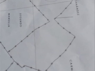 Imagen 5
