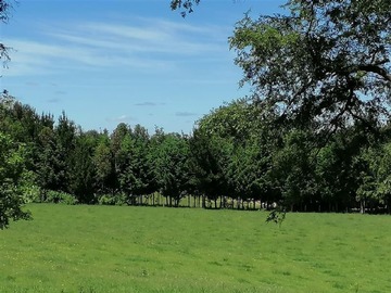 Venta / Parcela / Purranque