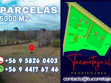 Venta / Parcela / Purranque