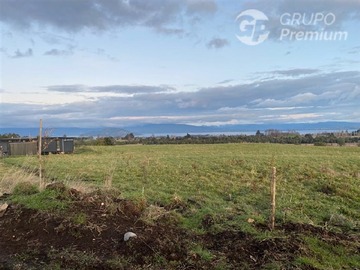Venta / Parcela / Puyehue