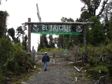 Imagen 7