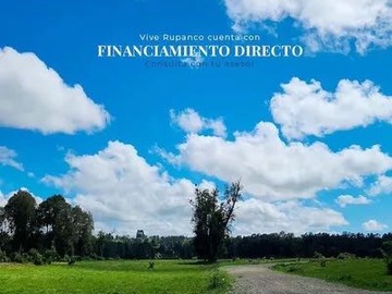 Venta / Parcela / Puyehue
