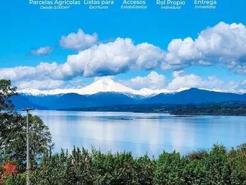 Venta / Parcela / Puyehue