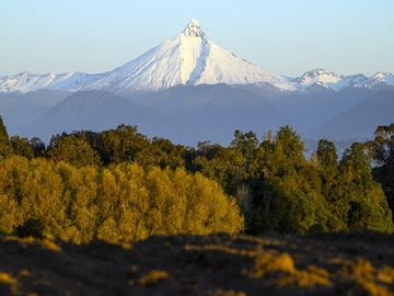 Imagen 6