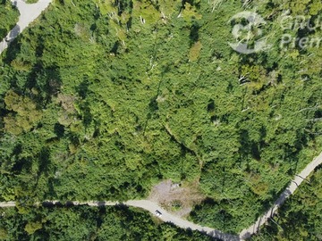Venta / Parcela / Puyehue