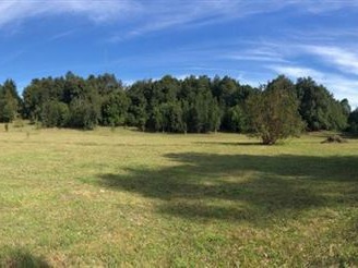 Venta / Parcela / Puyehue