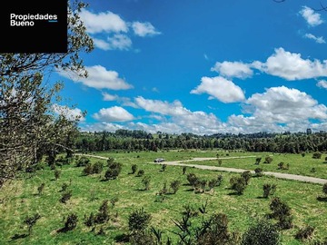 Imagen 8