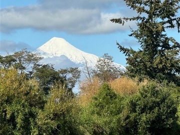Venta / Parcela / Puyehue