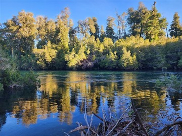 Venta / Parcela / Puyehue