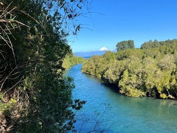 Venta / Parcela / Puyehue