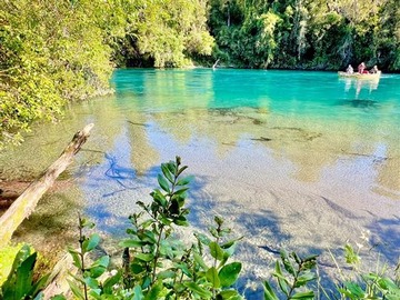 Venta / Parcela / Puyehue