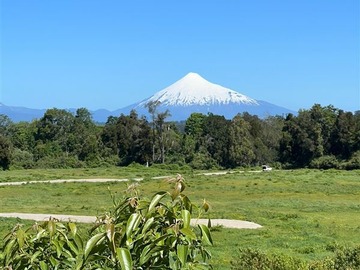 Venta / Parcela / Puyehue