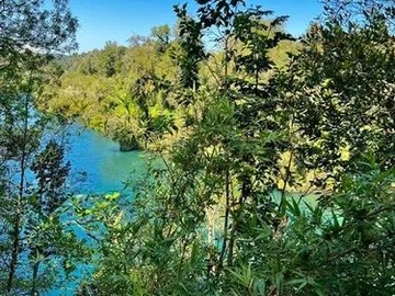 Venta / Parcela / Puyehue