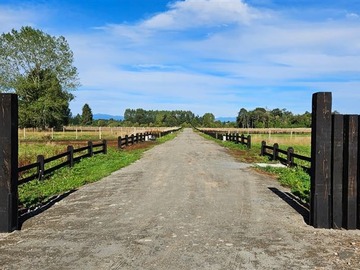 Venta / Parcela / Puyehue