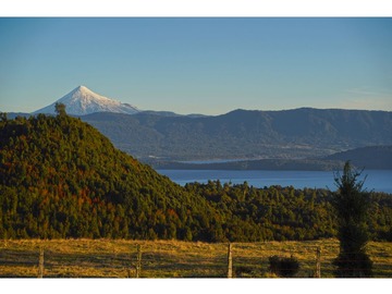 Venta / Parcela / Puyehue