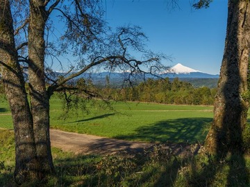 Venta / Parcela / Puyehue