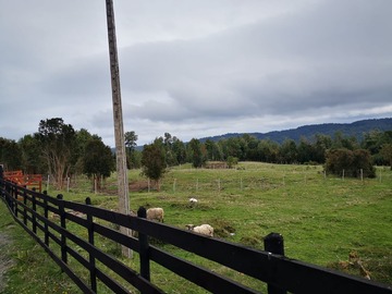 Imagen 5