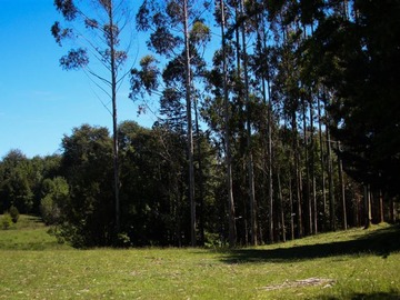 Imagen 13