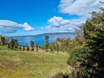 Venta / Parcela / Queilén