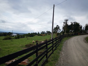 Imagen 6