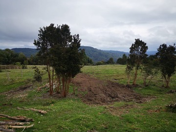 Imagen 9