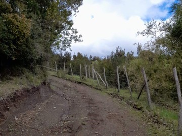 Imagen 15