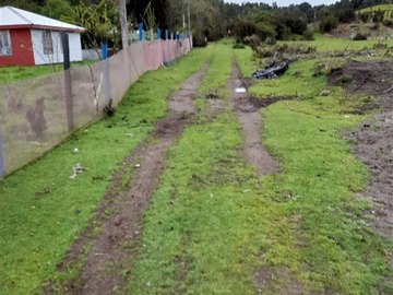Imagen 29