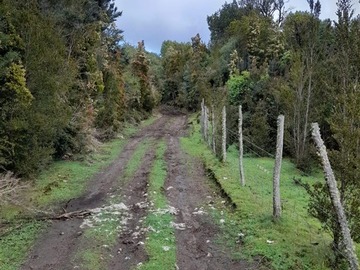 Imagen 12