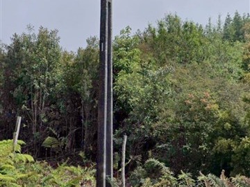 Venta / Parcela / Quellón