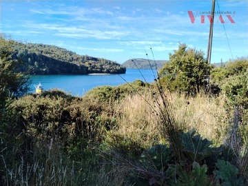 Imagen 5