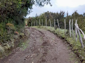 Imagen 14