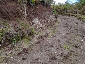 Imagen 18