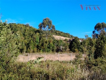 Imagen 7