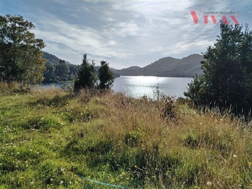 Imagen 7