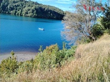 Imagen 5