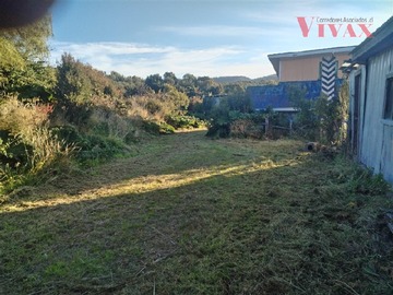 Imagen 11