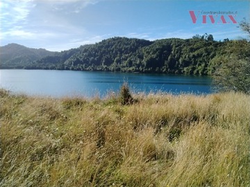 Imagen 0