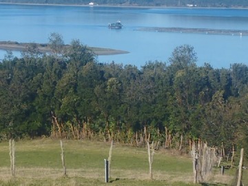 Imagen 9