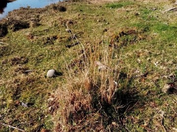 Venta / Parcela / Quemchi
