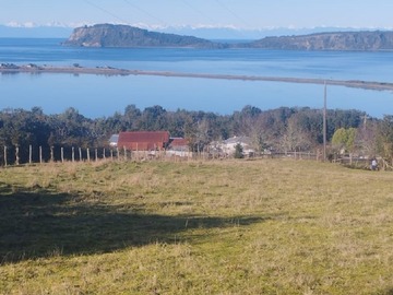 Imagen 4