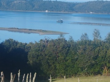 Imagen 5
